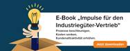 Ebook Impulse B2B-Vertrieb